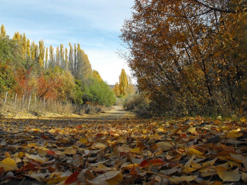 Posada De Campo La Calma Aluminé Buitenkant foto